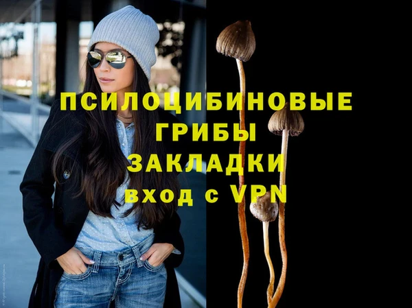 герыч Арсеньев