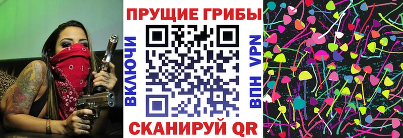 Псилоцибиновые грибы прущие грибы  Талица 